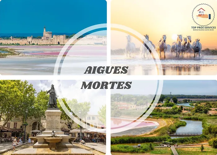 Le Farniente - Belle Terrasse Wifi Parking A 5 Min Des Plages - Top Pros Servicesconciergerie La Grande Motte